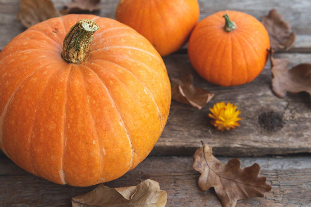 Childrens-Autumn-Pumpkin-Trail